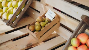 Dineren tussen de fruitbomen